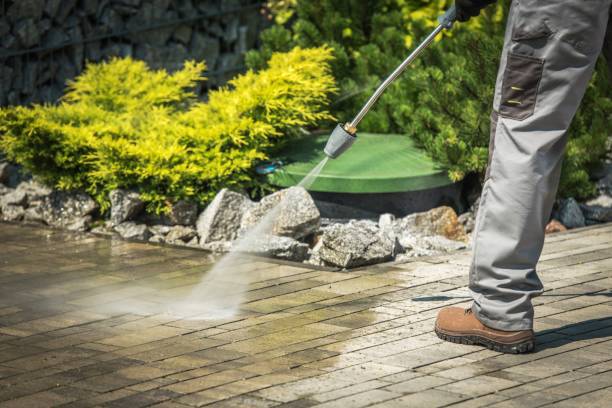 Best Building Exterior Pressure Washing in La Fayette, AL